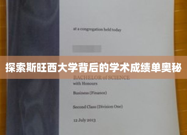 揭秘斯旺西大学卓越学术成就的神秘面纱