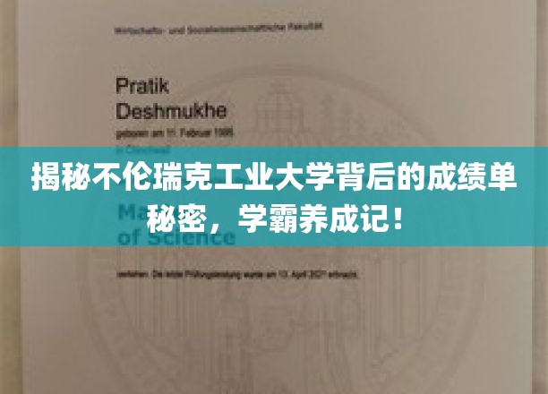揭开不伦瑞克工业大学学霸摇篮的神秘面纱，揭秘学子辉煌背后的故事