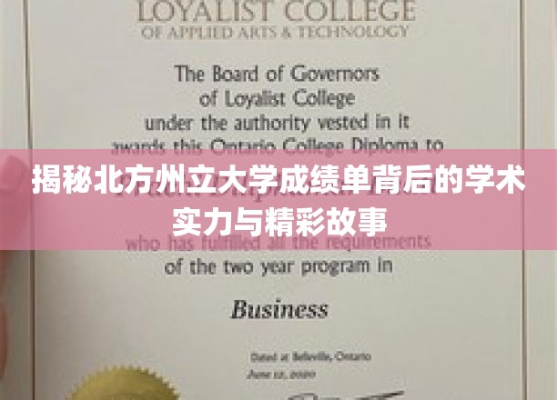 探寻北方州立大学，揭秘高分背后的学术传奇与青春足迹
