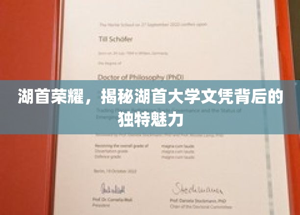 湖首大学文凭，探寻隐藏的学术魅力与荣耀之光