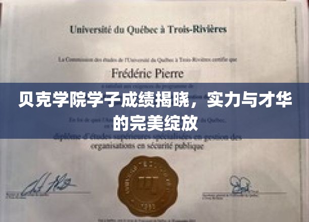 贝克学院精英学子荣耀揭晓，才华与成绩的璀璨绽放