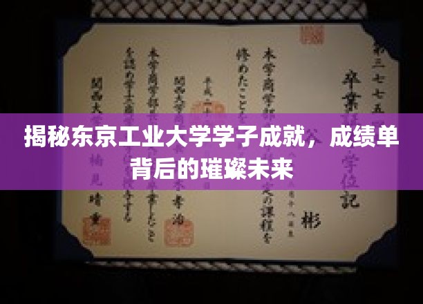东京工业大学精英风采，揭秘年轻才俊的辉煌成就与璀璨前程