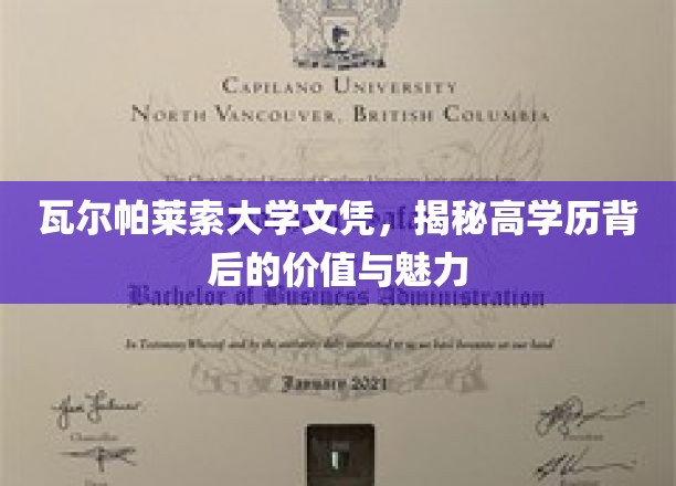 瓦尔帕莱索文凭魅力揭秘，高学历背后的非凡价值