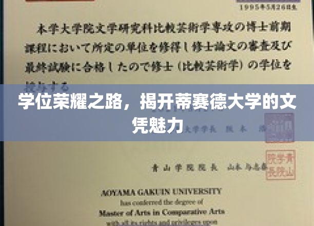 探索蒂赛德大学，文凭背后的荣耀与魅力