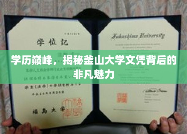 釜山大学文凭闪耀，探索学历之巅的独特魅力