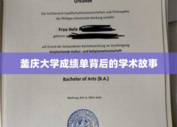 解码釜庆大学成绩单，探寻隐藏的学术传奇