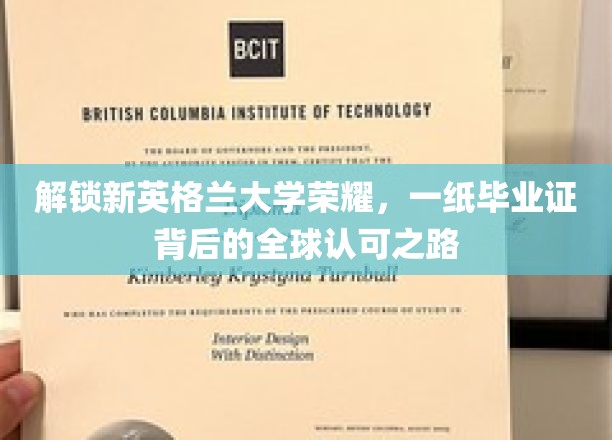 探寻新英格兰大学毕业证的全球通行证，荣耀背后之路径解析