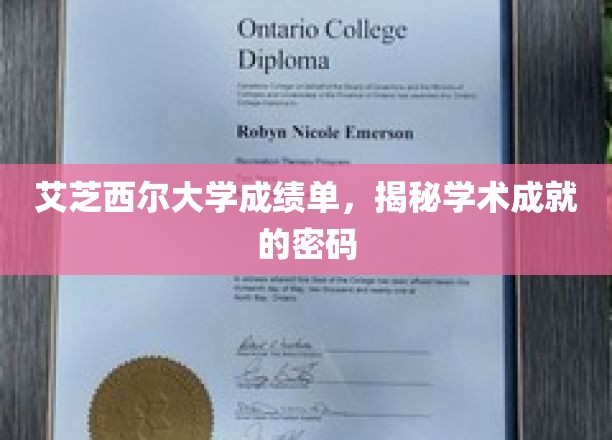 艾芝西尔大学成绩单，解码学术成就的奥秘