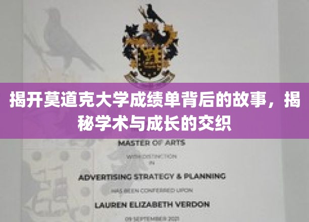 揭开莫道克大学成绩单背后的故事，探寻学术与成长的交织