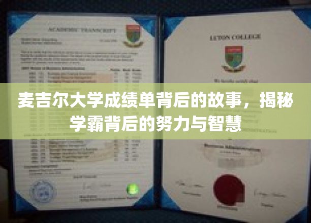 麦吉尔学霸之路，揭开成绩单背后的奋斗与智慧之光