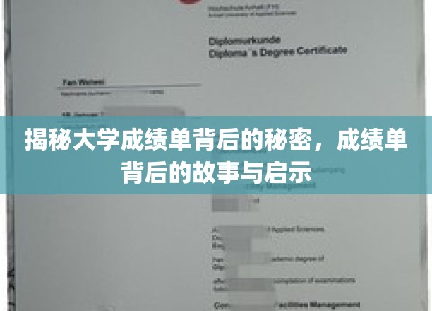 解码大学成绩单：探寻成绩单背后的故事与启示