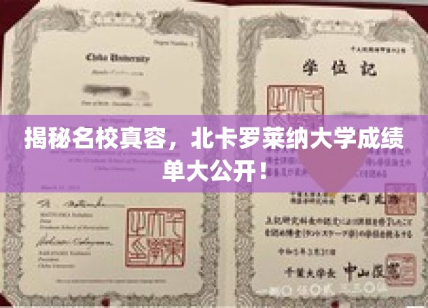 北卡罗莱纳大学成绩单曝光，名校背后的真实实力揭晓