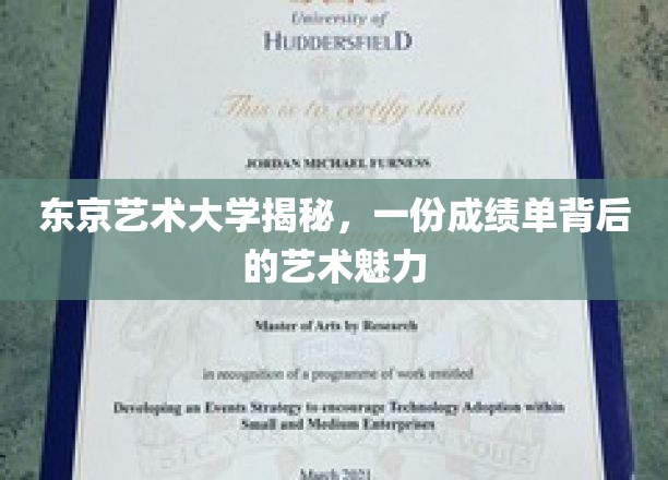东艺风采，揭秘成绩单背后的艺术奥秘