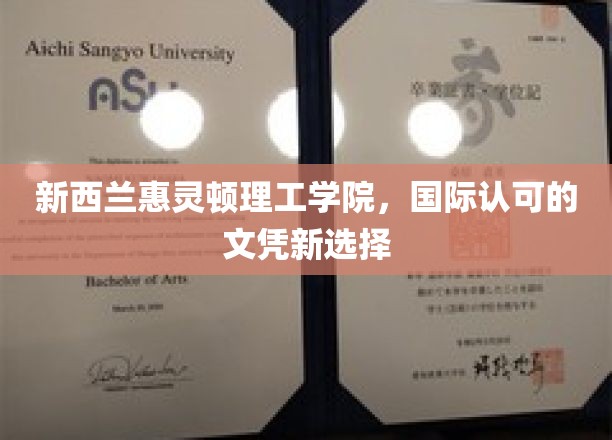 全球视野下的教育新航标，新西兰惠灵顿理工学院文凭，国际认可的未来通行证
