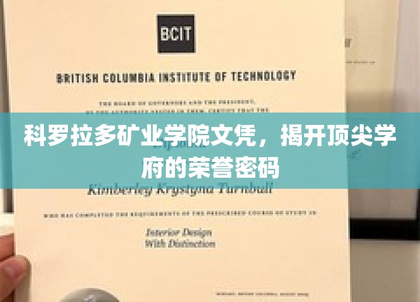 解码科罗拉多矿业学院，荣誉文凭背后的顶尖学府奥秘