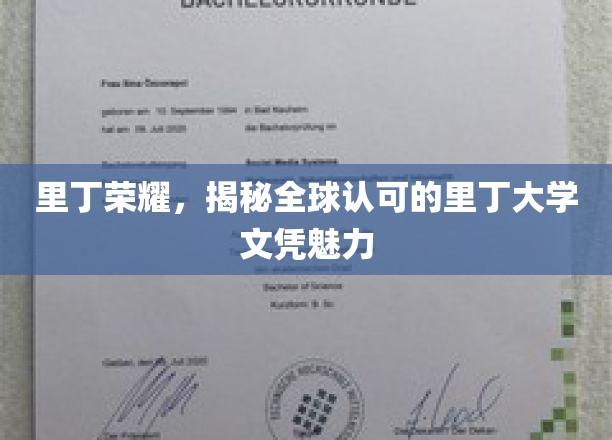 探寻里丁大学文凭的全球认可之谜，荣耀背后的教育力量