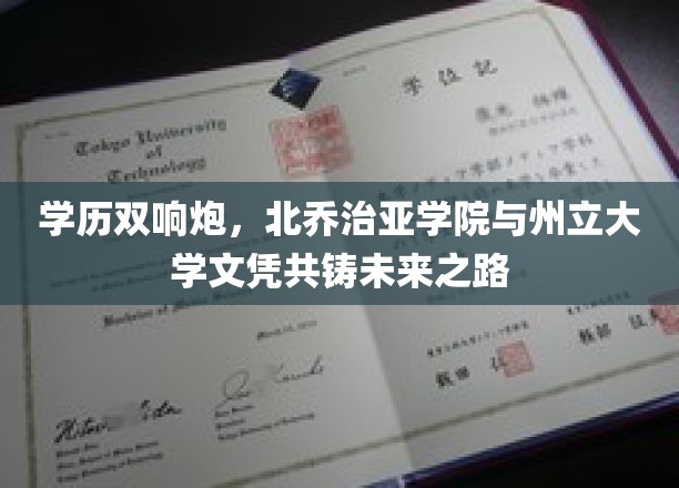 双星闪耀，北乔治亚学院与州立大学联袂打造卓越学历之旅