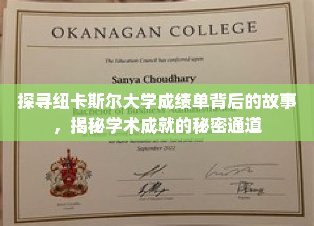 探寻纽卡斯尔大学成绩单背后的故事，揭秘学术成就的秘密通道