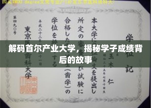 解码首尔产业大学，探寻学子成绩背后的故事