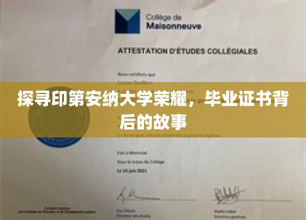 揭开印第安纳大学荣耀之谜，毕业证书背后的传奇故事