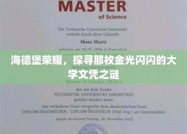 解码海德堡辉煌，揭秘那枚熠熠生辉的大学金榜之谜