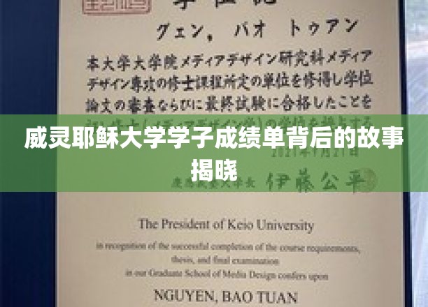 探寻威灵耶稣大学学子卓越成绩背后的神秘力量