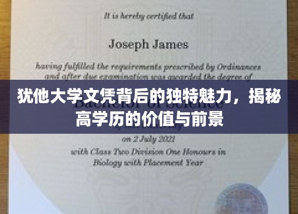 犹他大学文凭的独特魅力，揭示高学历的价值与未来前景