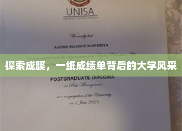 探索成蹊，一纸成绩单背后的大学风采