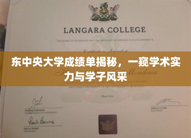 东中央大学成绩单揭秘，一窥学术实力与学子风采