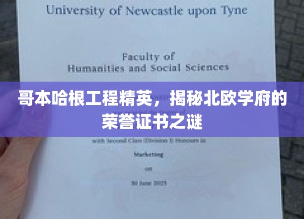 哥本哈根工程精英，揭秘北欧学府的荣誉证书之谜