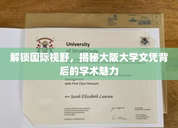 跨越国界，探索大阪大学文凭的独特学术风采