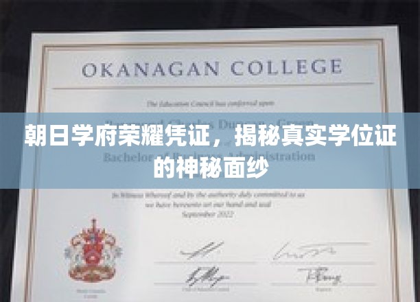 揭秘朝日学府荣耀凭证，学位证的神秘魅力大起底