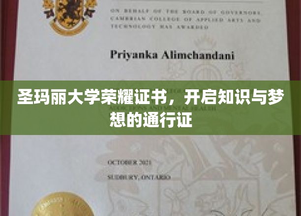 圣玛丽荣耀证书，解锁知识殿堂，点亮梦想启航之路