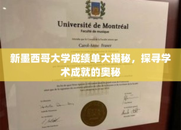 解码新墨西哥大学，揭开学术辉煌背后的秘密