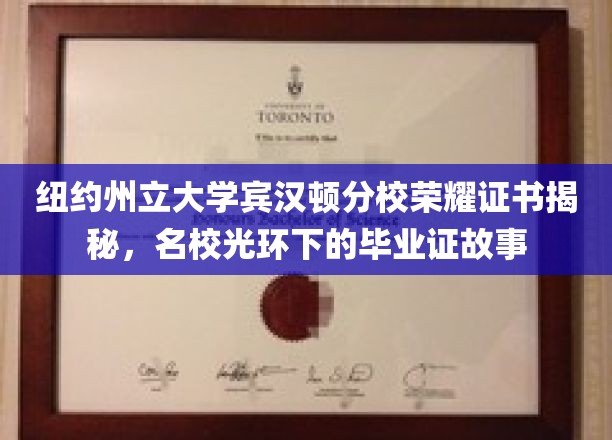 纽约州立大学宾汉顿分校荣耀证书揭秘，名校光环下的毕业证故事