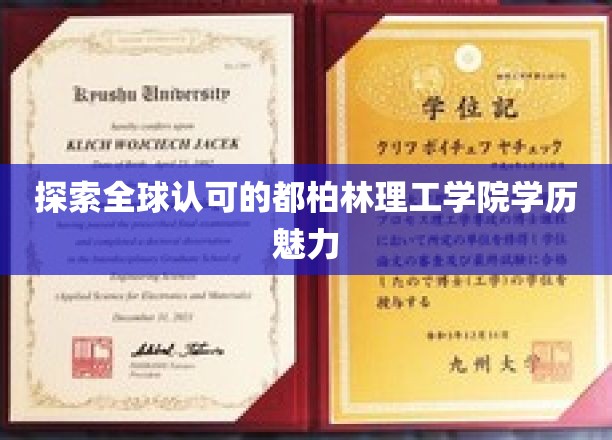 探索全球认可的都柏林理工学院学历魅力
