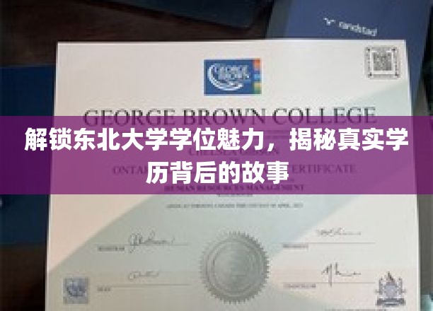 东北大学学位之谜，探寻学历背后的非凡历程