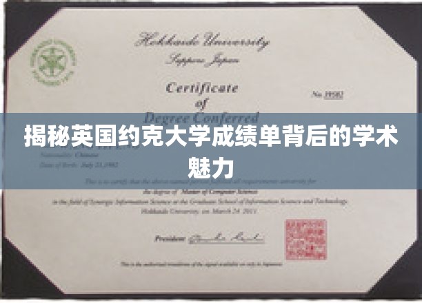 深度解析英国约克大学成绩单中的学术魅力