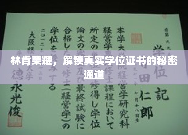 林肯荣耀，揭秘真实学位证书的奥秘