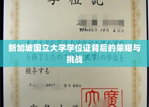 新加坡国立大学学位证背后的荣耀与挑战
