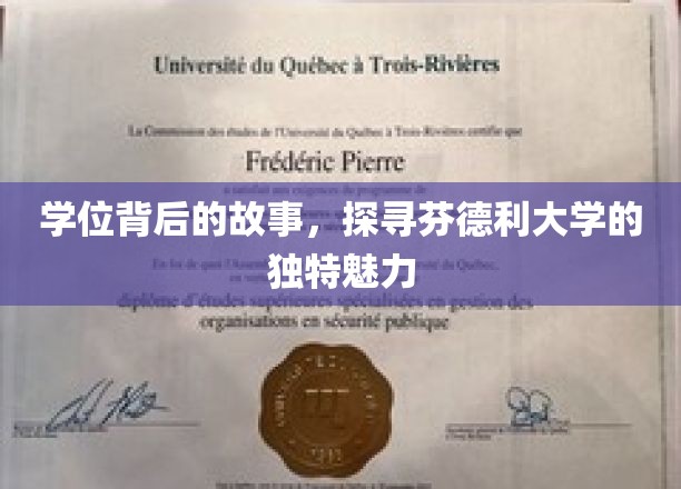 揭秘芬德利大学，学位背后的传奇与独特风采