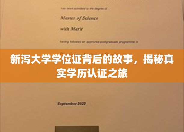 解码新泻大学学位证，一场学历认证的神秘旅程
