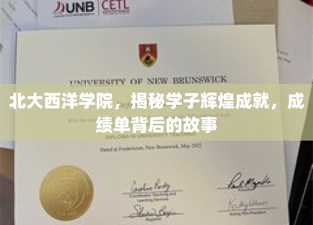 北大西洋学院，揭开学子荣耀背后不为人知的奋斗历程