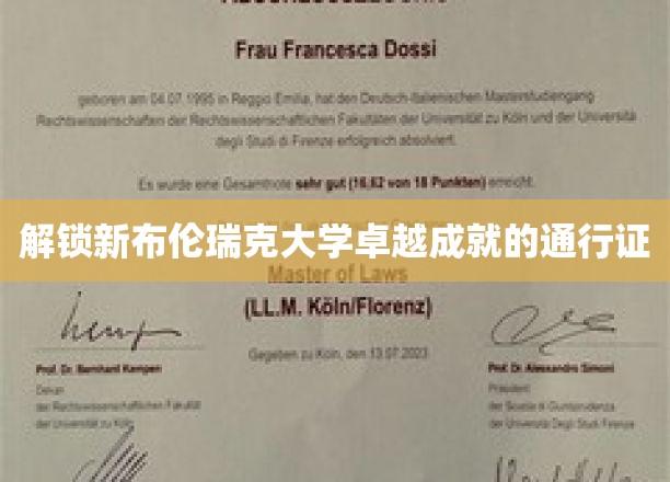 探索新布伦瑞克大学成就秘境的钥匙