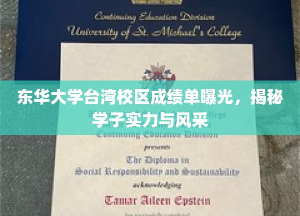 东华大学台湾校区成绩单曝光，揭秘学子实力与风采