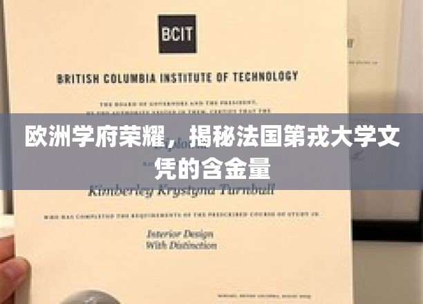 欧洲学府荣耀，揭秘法国第戎大学文凭的含金量