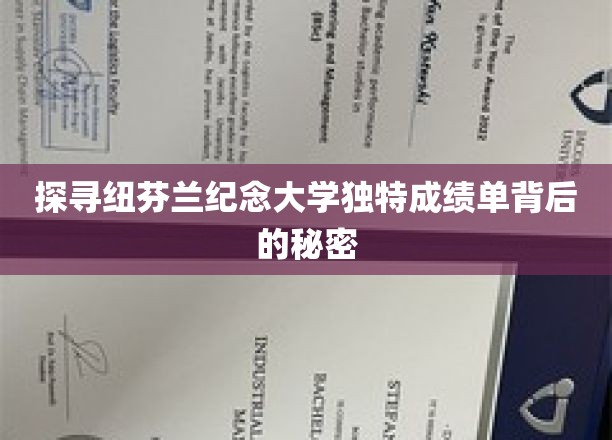 解锁纽芬兰纪念大学别具一格成绩单的秘密面纱