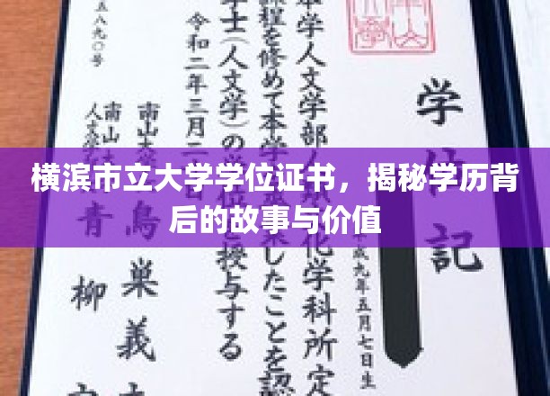 横滨市立大学文凭背后的传奇，学历的深层价值与感人历程
