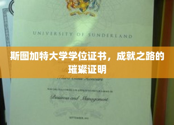 斯图加特荣耀证书，见证学术巅峰的璀璨里程碑