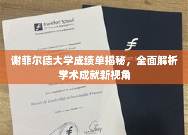 谢菲尔德大学成绩单揭秘，全面解析学术成就新视角